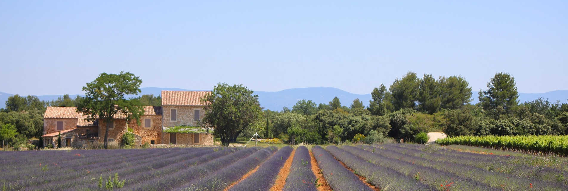 Live the dream and move to France!