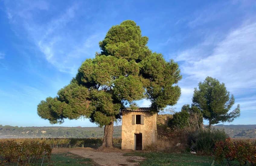 Best places to buy house in France